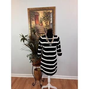 J. Crew Women Dress XS 3/4 Sleeve Academia Minimalist Bella Swan Twilight